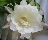 �������l