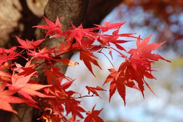 �C���[�W03