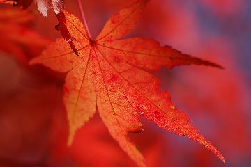 �C���[�W04