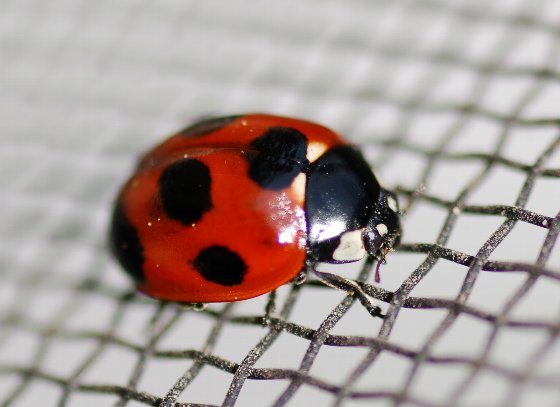 �C���[�W04