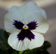 �C���[�W04