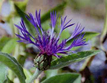 �C���[�W03