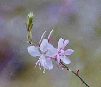 �C���[�W02