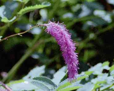 �C���[�W01