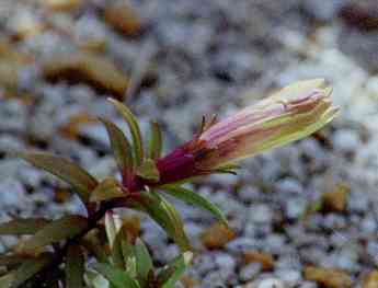 �C���[�W02