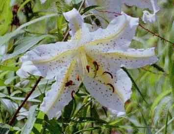 �C���[�W04