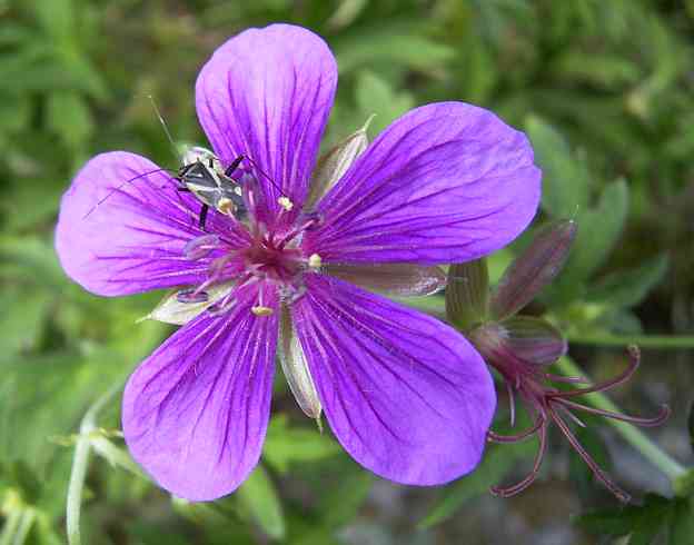 �C���[�W03