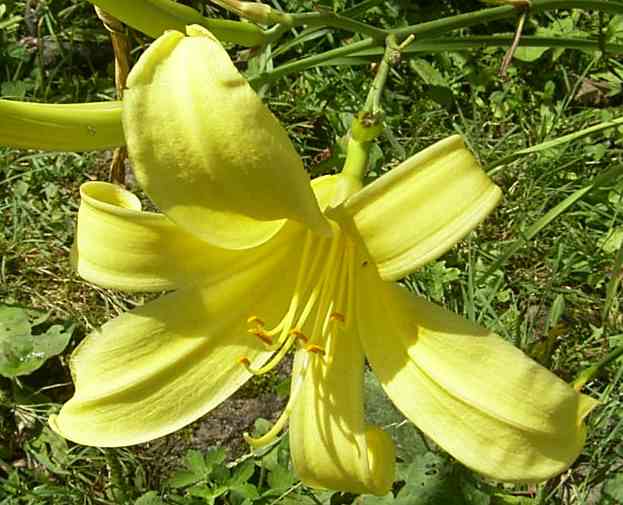 �C���[�W02