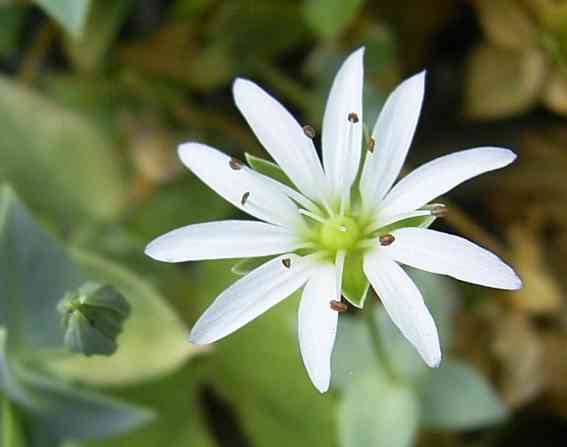 �C���[�W03