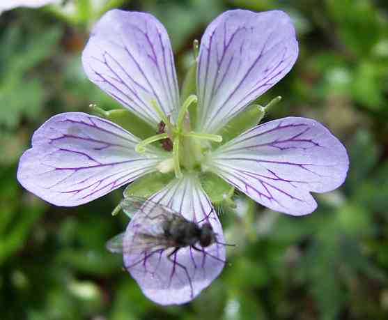 �C���[�W01