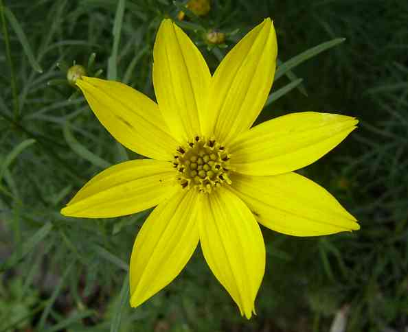 �C���[�W04