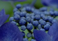 �K�N��������