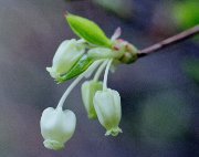 �h�E�_���c�c�W