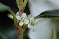 ��������������