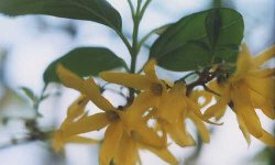 �����M��