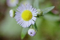 �͂邵����