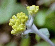 �͂͂�����