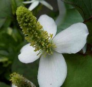 �ǂ�����