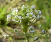 �y���y����