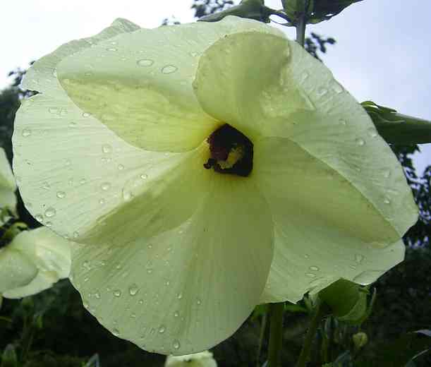 �C���[�W01