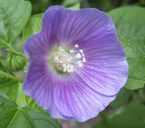 �C���[�W02