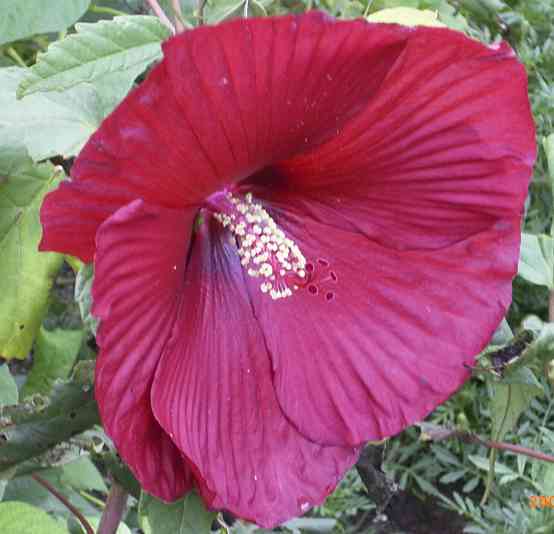 �C���[�W01