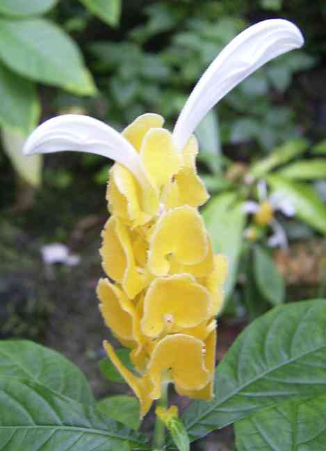 �C���[�W03