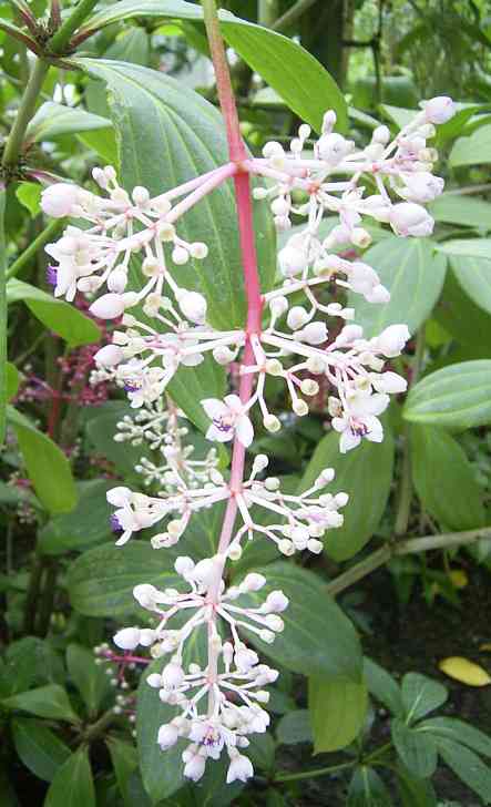 �C���[�W04