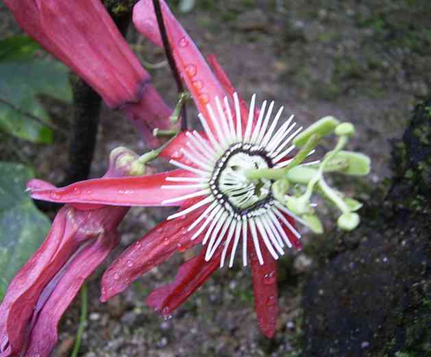 �C���[�W01