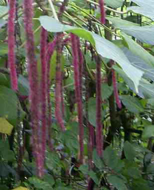 �C���[�W02