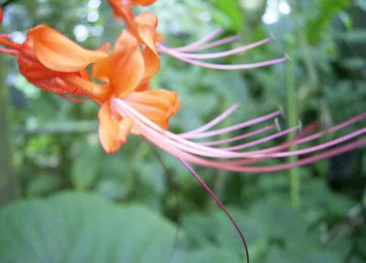 �C���[�W03