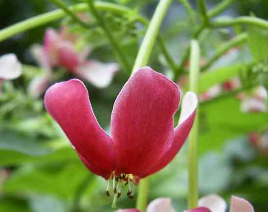 �C���[�W01