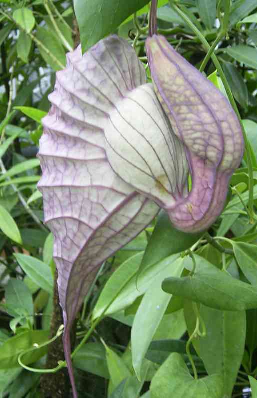 �C���[�W02