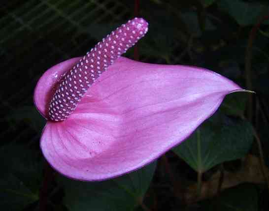 �C���[�W03