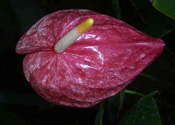 �C���[�W04