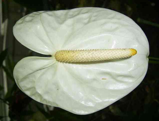 �C���[�W01