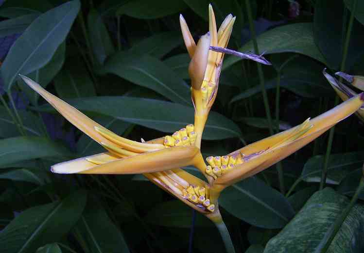 �C���[�W03