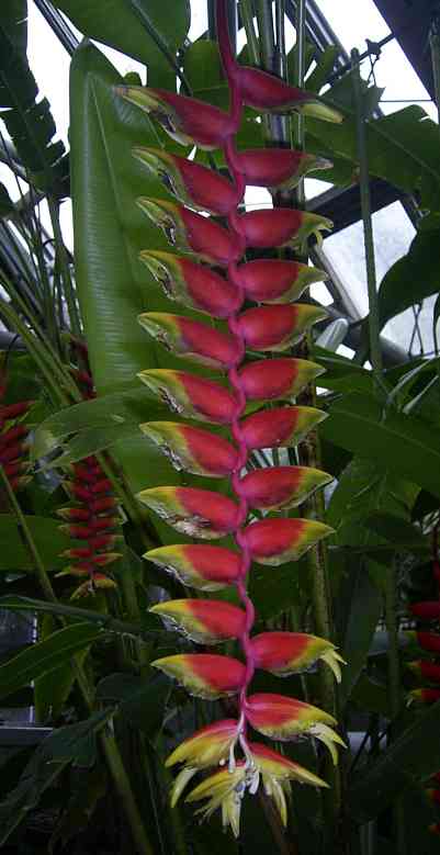 �C���[�W04