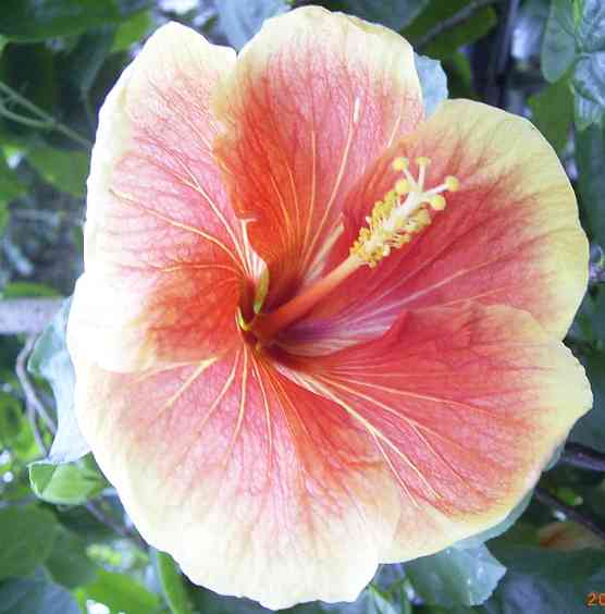 �C���[�W01