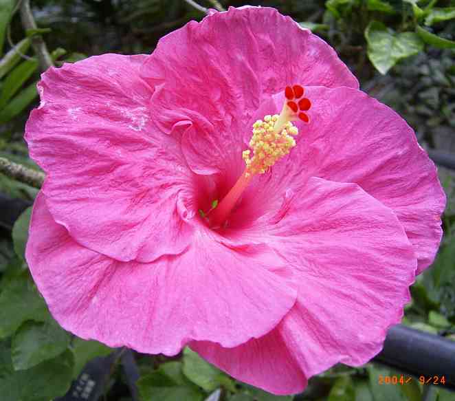 �C���[�W02