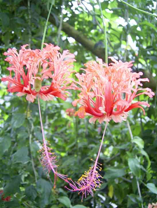 �C���[�W03