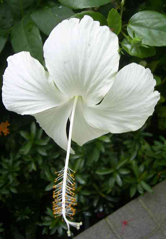 �C���[�W04