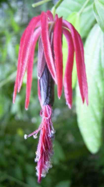 �C���[�W01