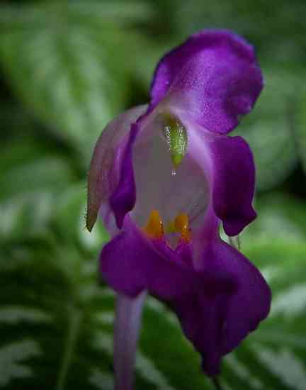 �C���[�W03