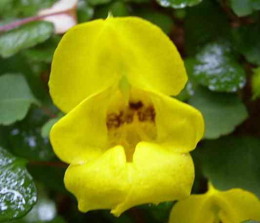 �C���[�W04