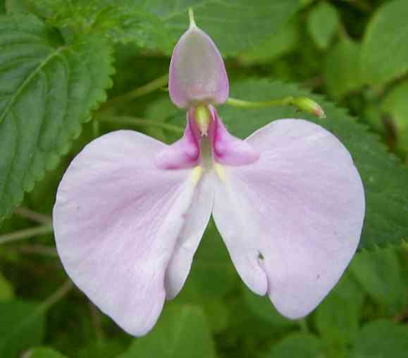 �C���[�W04