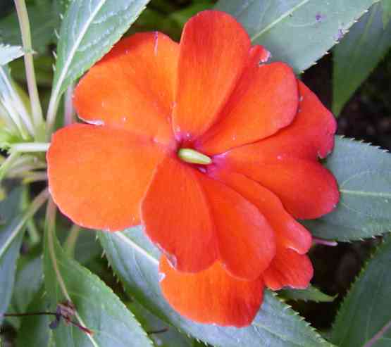 �C���[�W04