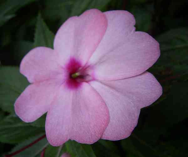 �C���[�W04