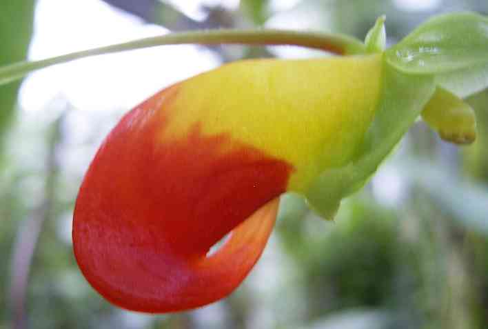 �C���[�W04