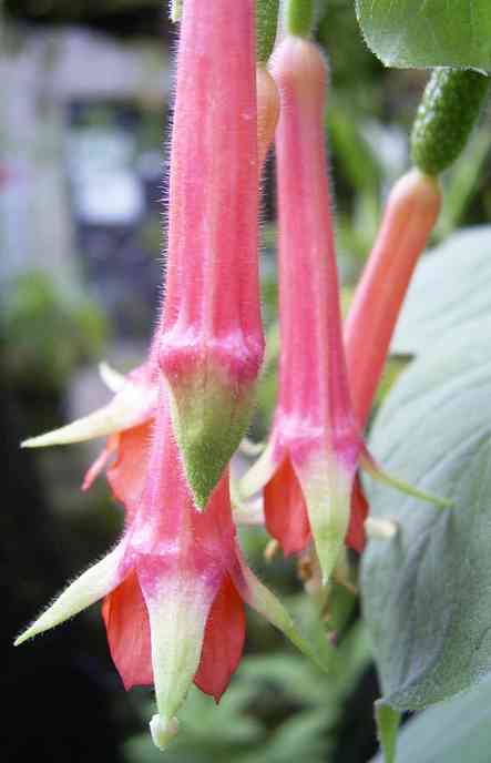 �C���[�W04